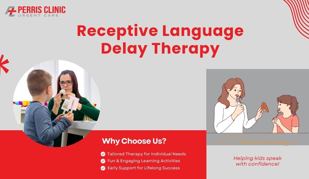 Receptive Language Delay Therapy